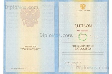 диплом 2010-2011 года
